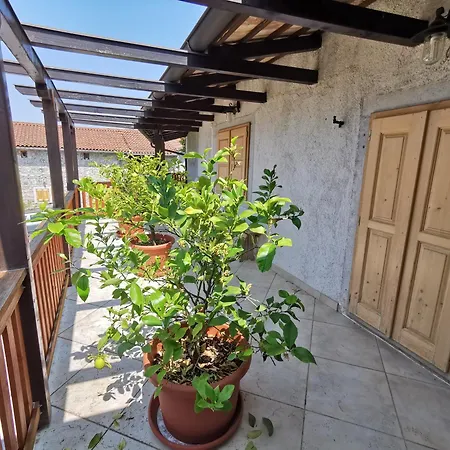 Dom wakacyjny Domus Carstica *